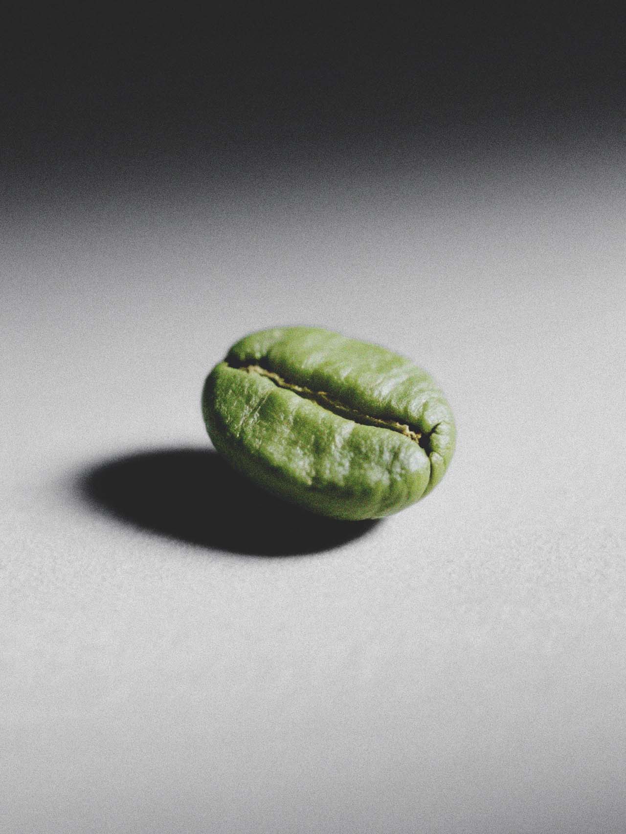 Coffee Arabica Seed Extract